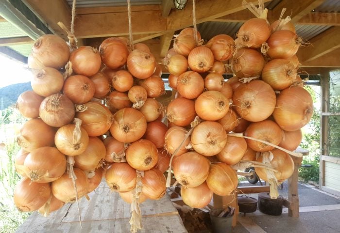 onion strings