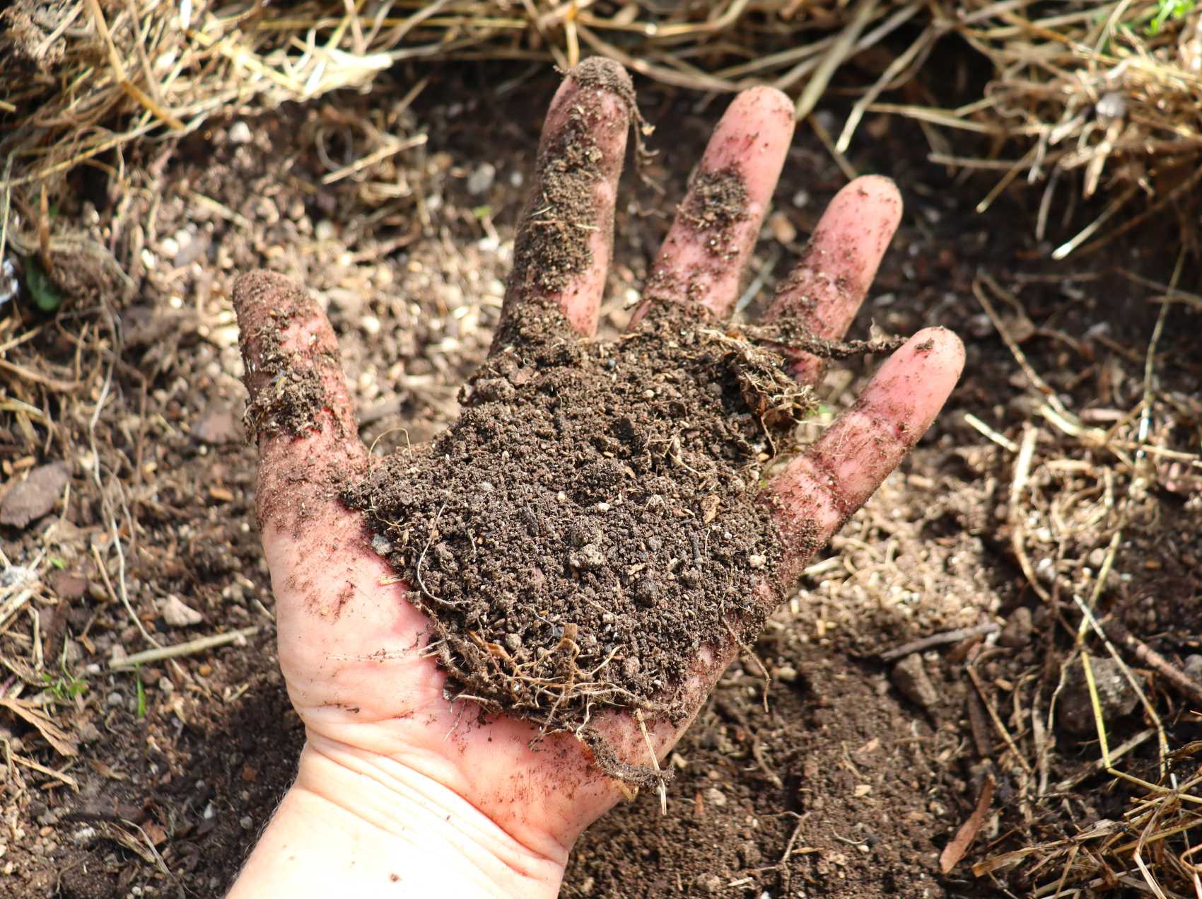 Dusty dry soil in the greenhouse in autumn