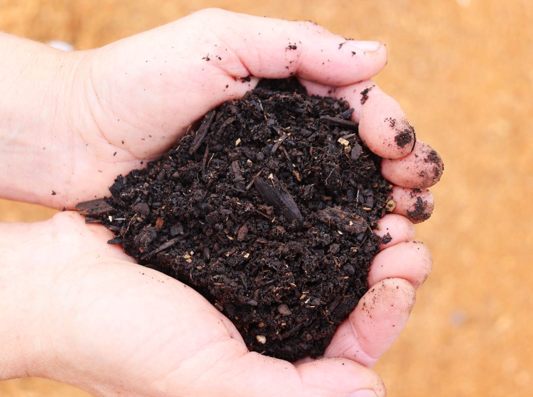 a handful of finished compost