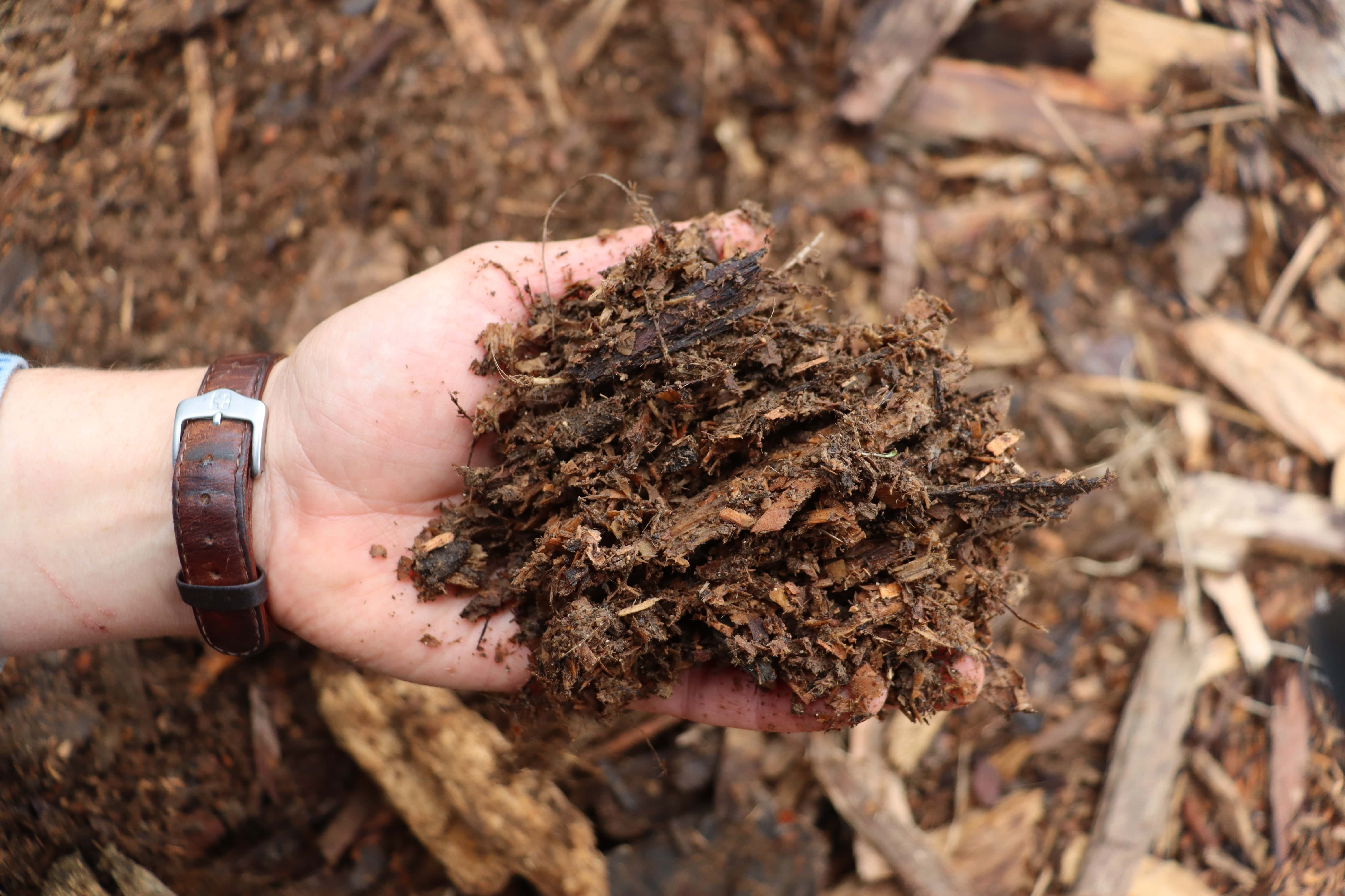 Nicely rotted woody mulch ready to plant into