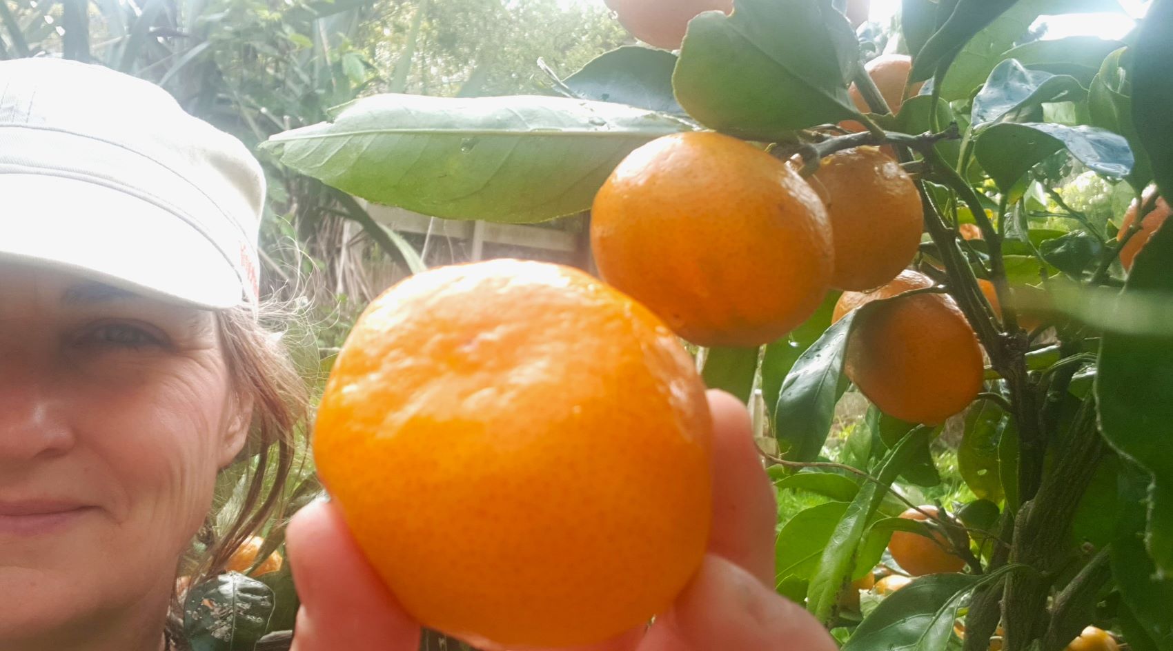 August Fruit Tree to-do List