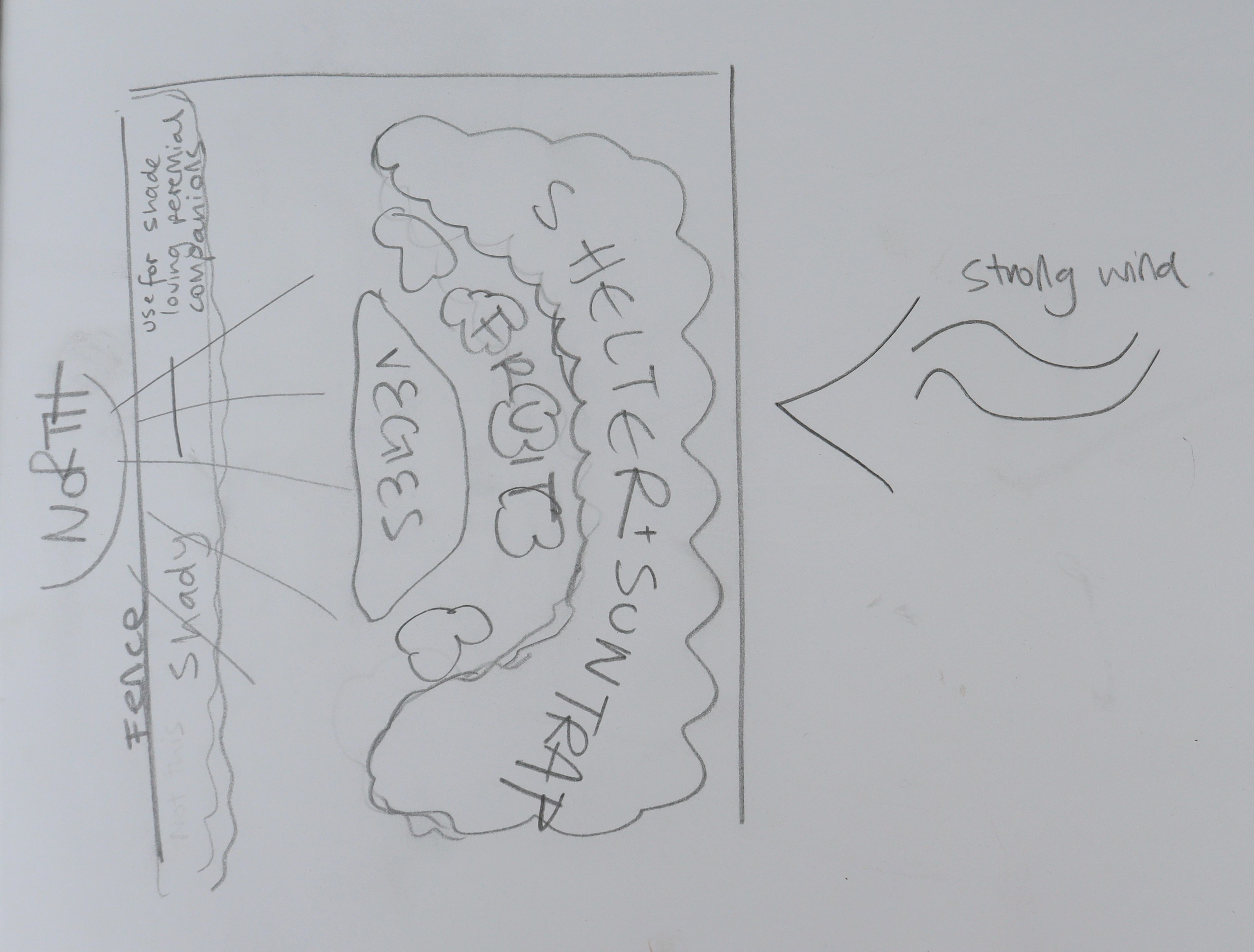 sketch showing a suntrap and windshelter