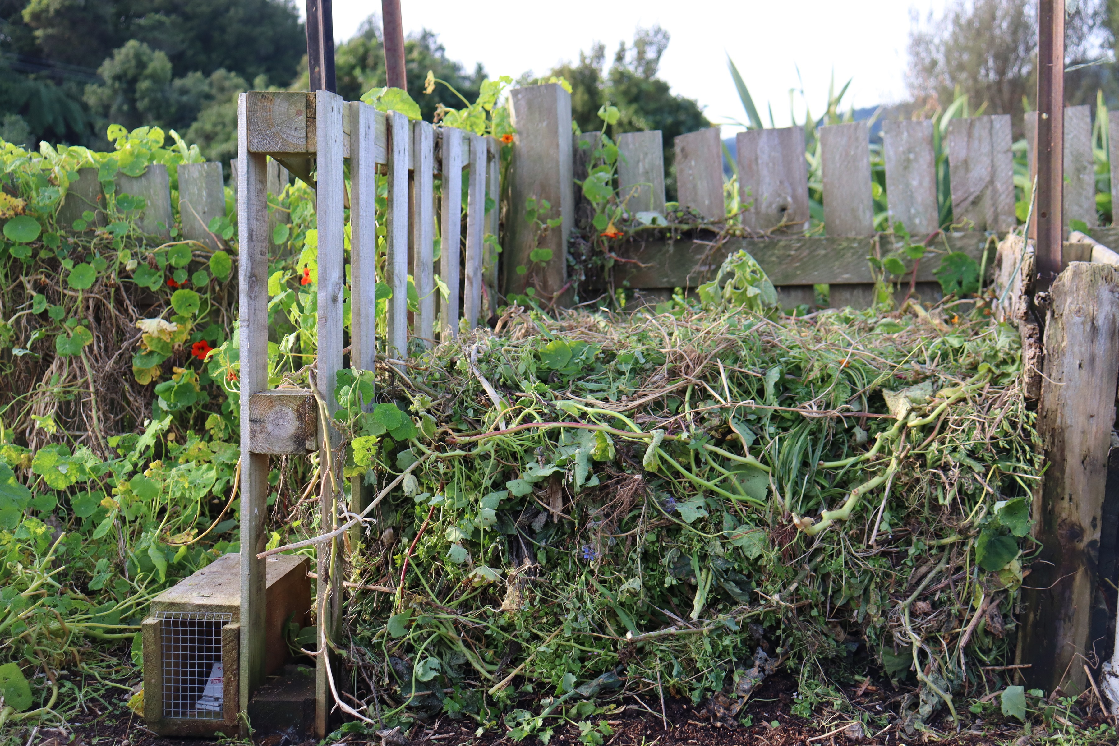 a simple pallet compost bin
