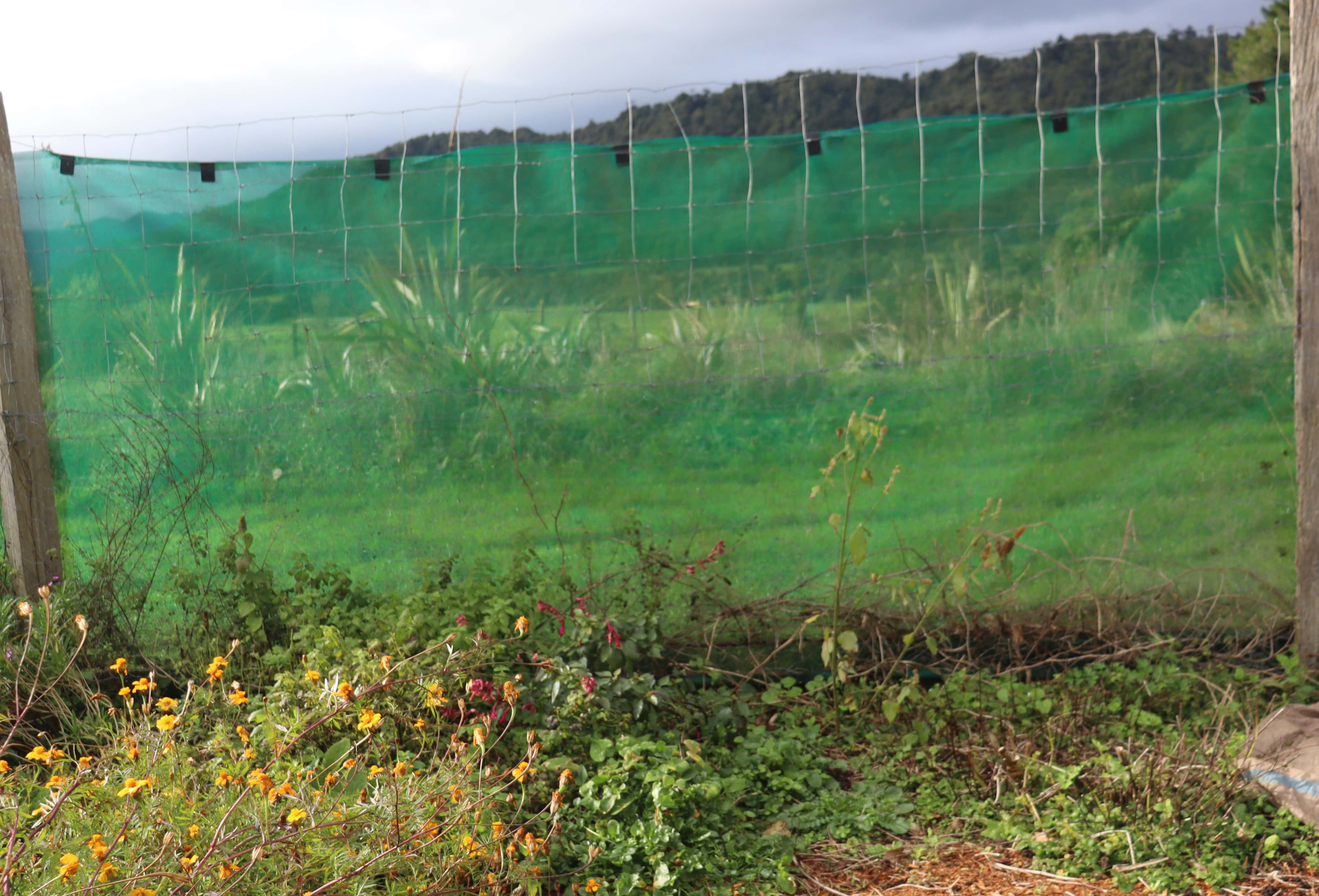 temporary windcloth shelter around the vegie patch.