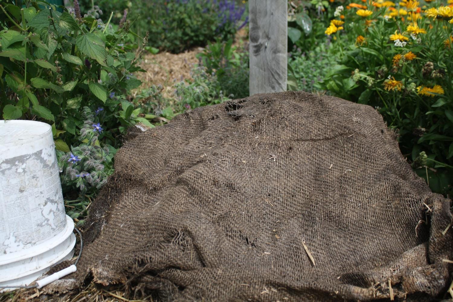 Easy peasy compost: A good setup