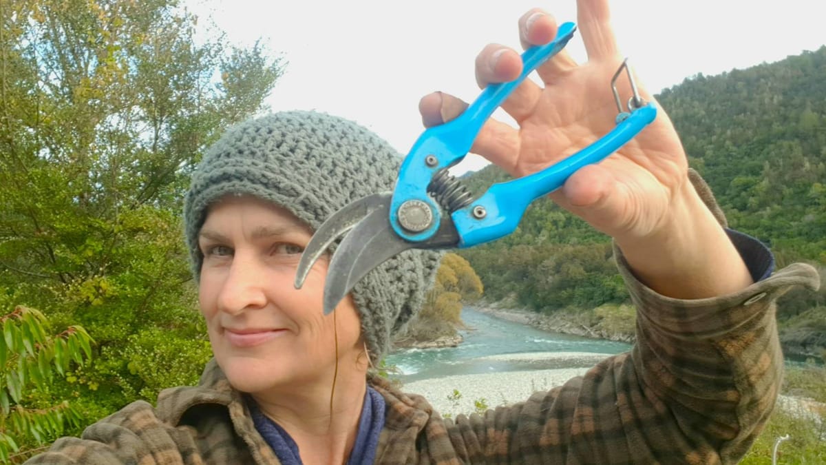 Pruning 101 Thinning Cuts Heading Cuts