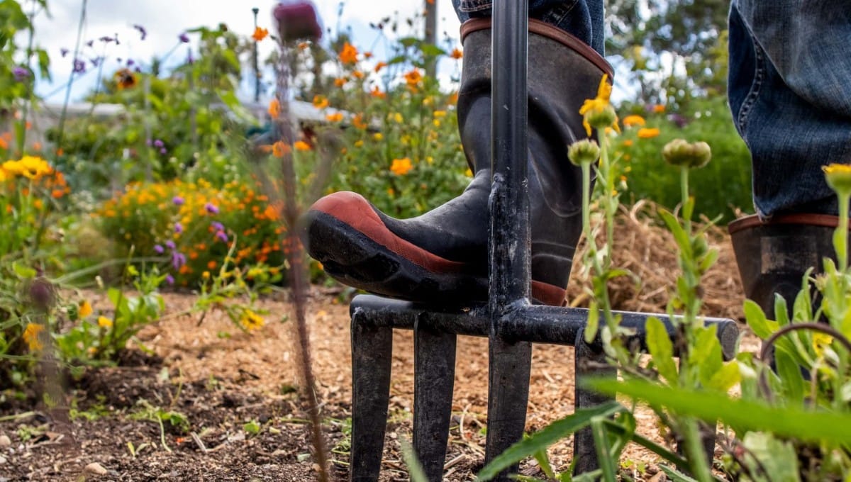 Aerating the soil with a Forksta. Red band gumboots doing the do in the garden