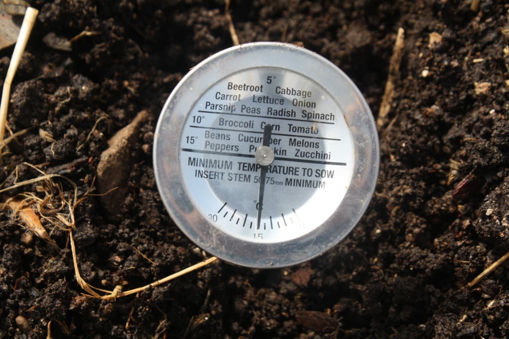 Take your soil's temperature to make sure seeds and plants can