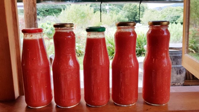 Tomato Sauce Sieve / Passata Maker by Rigamonti